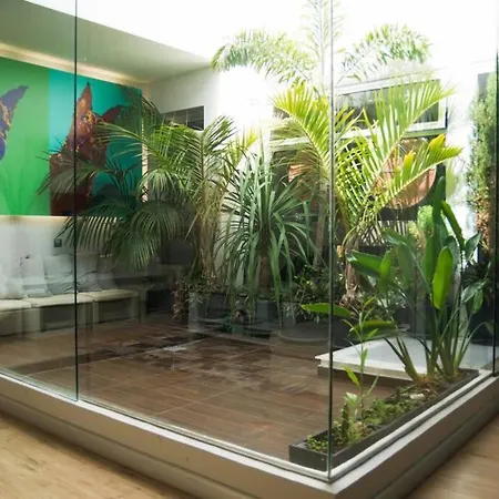 Casa Exclusiva Al Lado De La Playa Ferienhaus San Andrés